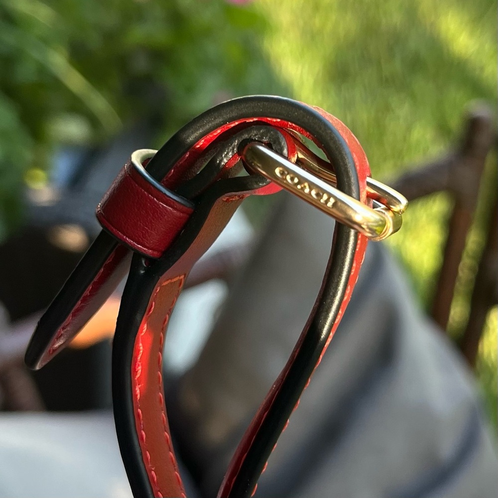 Coach Red Leather Crossbody Replacement Strap with Gold-Tone Hardware - Picture 9 of 11